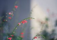 1012