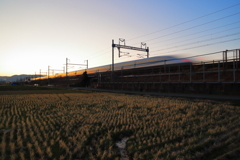 今日もお疲れ様。