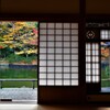 紅葉の便り