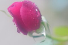 潤い