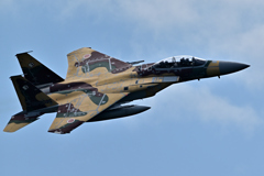 2025AGGRESSOR_92-8095_13