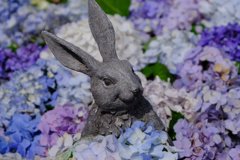 紫陽花の中にうさぎ