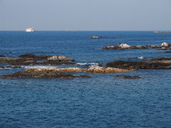 何となく、海が見たくて。