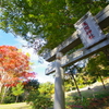 吾妻山の秋