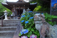 西江寺