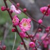 冷たい風は吹くけれど