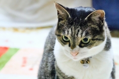 んじぃぃぃ〜 (sora)