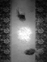 snap#11 -Goldfish#2-