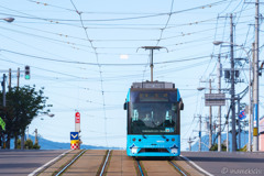 ちょうど青いのが来た。
